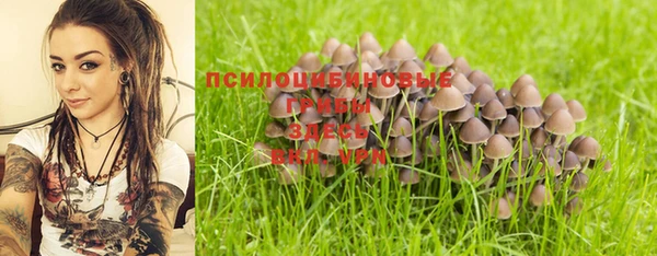 СК Алзамай