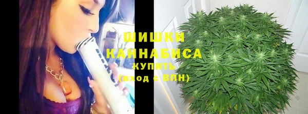 СК Алзамай