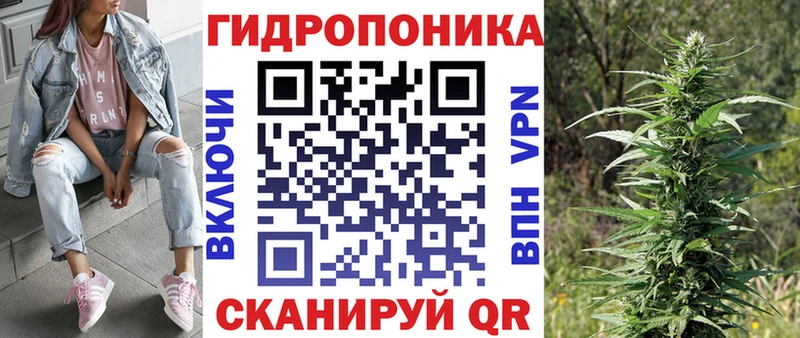 Каннабис гибрид  shop состав  Сясьстрой  закладки 